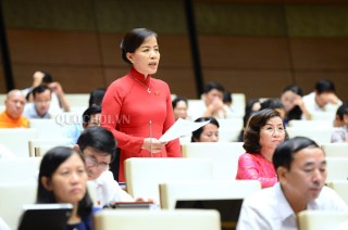 ĐBQH NGUYỄN THỊ KIM THÚY - ĐÀ NẴNG: GIẢI PHÁP NÀO ĐỂ LỆNH ĐÓNG CỬA RỪNG ĐƯỢC THỰC HIỆN NGHIÊM TÚC?